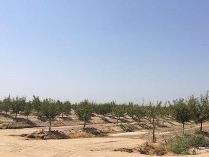 Ranch Property in Fresno County, California