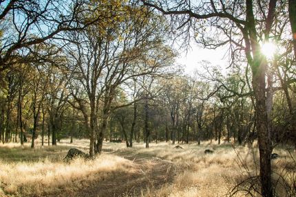 Undeveloped Land in Placer County, California