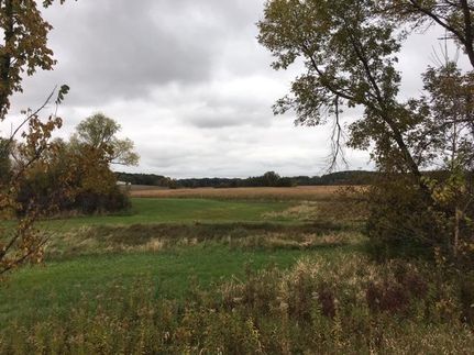 Farm Property in Rice County, Minnesota
