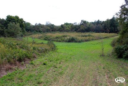 Timberland Property in Cross County, Arkansas