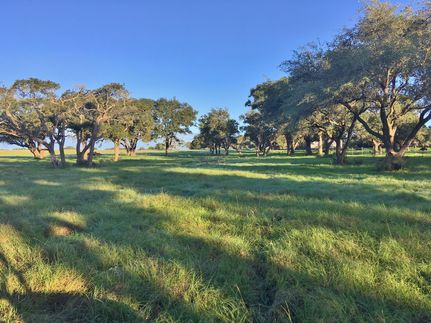 Recreational Property in Lavaca County, Texas