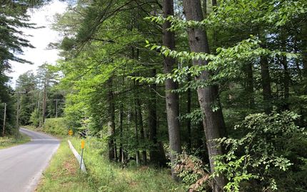Residential Property in Herkimer County, New York