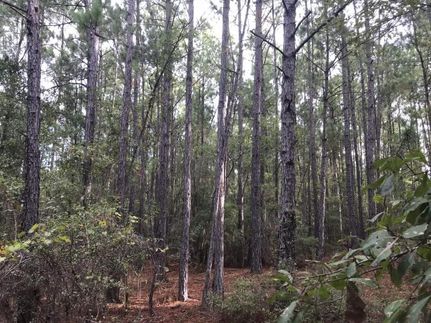 Commercial Property in Emanuel County, Georgia