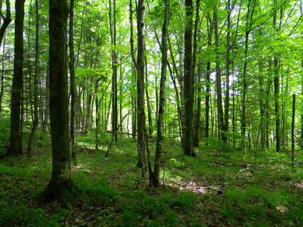 Farm Property in Marinette County, Wisconsin