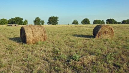 Recreational Property in Bell County, Texas