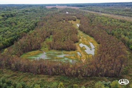 Riverfront Property in Marshall County, Kentucky