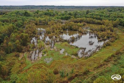 Property in Marshall County, Kentucky