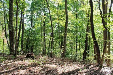 Undeveloped Land in Menifee County, Kentucky