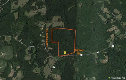 Hunting Land in Lincoln County, Georgia