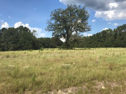 Residential Property in Screven County, Georgia