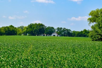 Undeveloped Land in Bourbon County, Kansas