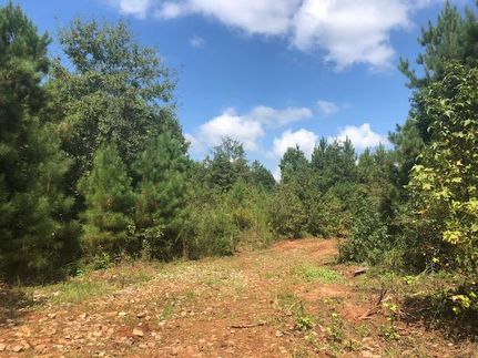 Horse Property in Monroe County, Georgia