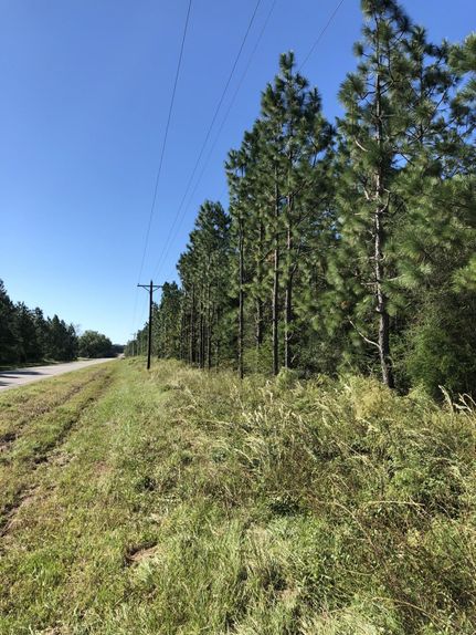 Commercial Property in Geneva County, Alabama