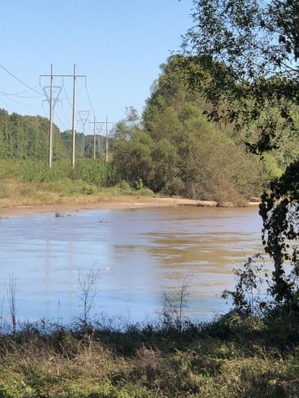 Farm Property in Geneva County, Alabama