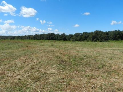 Property in Henry County, Georgia