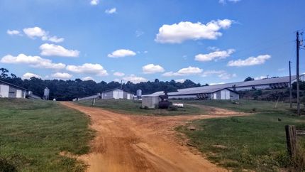 Property in Shelby County, Texas