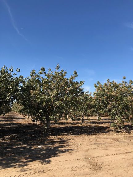 Property in Tulare County, California