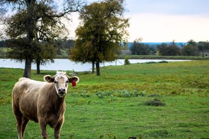 Property in Milam County, Texas