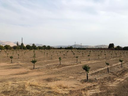 Property in Tulare County, California