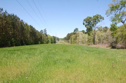 Residential Property in Amite County, Mississippi
