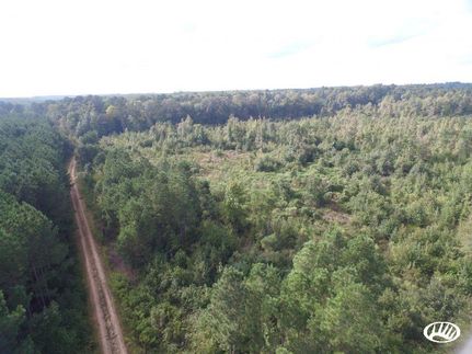 Farm Property in Dallas County, Arkansas