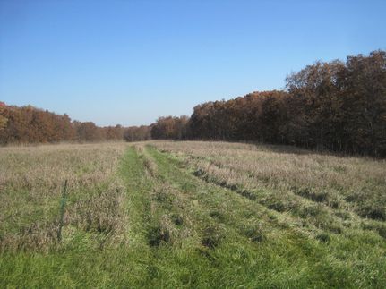 Residential Property in Appanoose County, Iowa