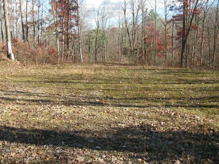 Undeveloped Land in Centre County, Pennsylvania