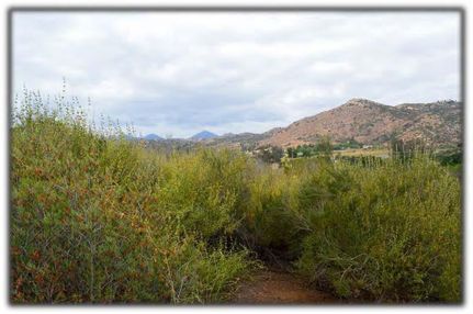 Timberland Property in San Diego County, California