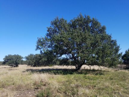 Farm Property in Williamson County, Texas