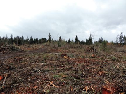 Ranch Property in Thurston County, Washington