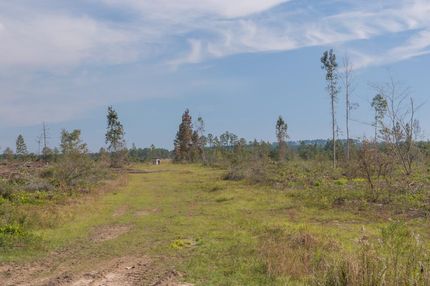 Farm Property in Escambia County, Alabama