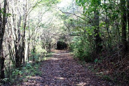 Farm Property in Colbert County, Alabama