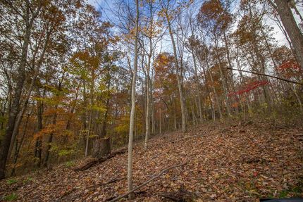 Farm Property in Vinton County, Ohio