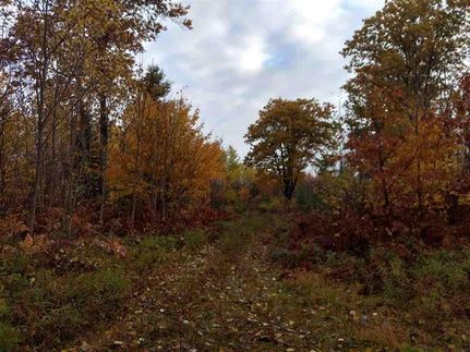 Farm Property in Marquette County, Michigan