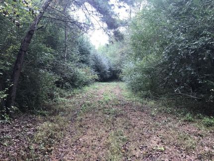 Property in Sampson County, North Carolina