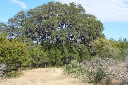 Undeveloped Land in Blanco County, Texas