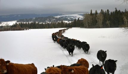 Residential Property in Meagher County, Montana