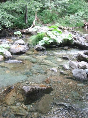 Farm Property in Plumas County, California