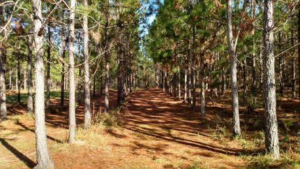Residential Property in Colquitt County, Georgia