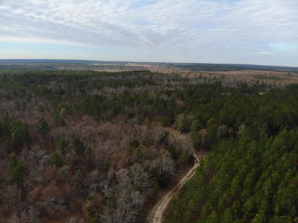Recreational Property in Taylor County, Georgia