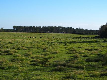 Ranch Property in Escambia County, Florida