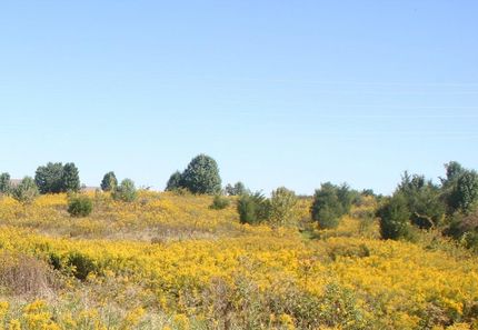 Ranch Property in Dearborn County, Indiana