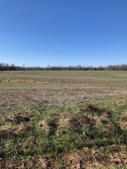 Farm Property in Hardeman County, Tennessee