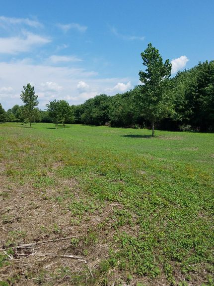 Property in Ballard County, Kentucky