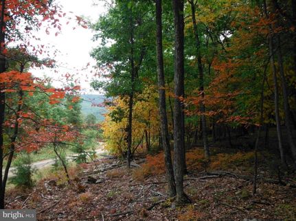 Farm Property in Hardy County, West Virginia