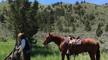Waterfront Property in Grant County, Oregon
