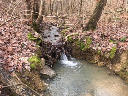 Property in Etowah County, Alabama