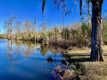 Timberland Property in Beaufort County, North Carolina