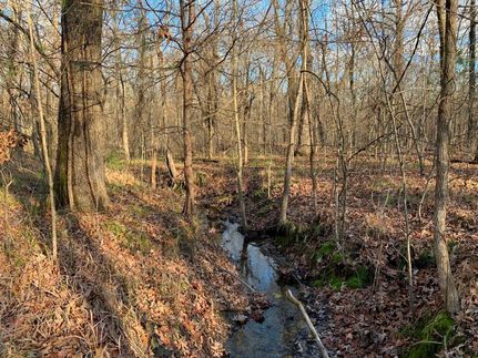 Property in Red River County, Texas