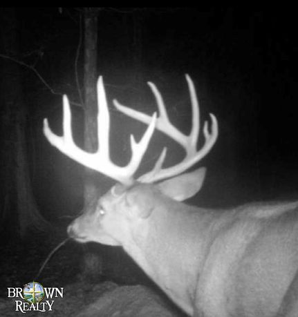 Farm Property in Madison Parish, Louisiana